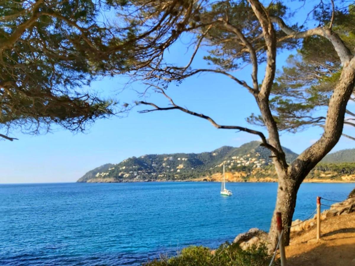 Apartment 4B Formentor Sea View & Pool In Canamel Canyamel  Bagian luar foto